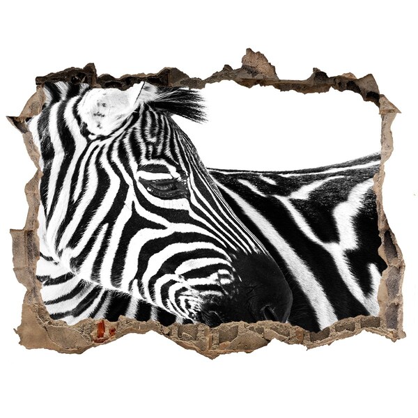 Hole in the wall decal Zebra in a hole in the wall