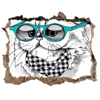 Hole in the wall decal Stylish cat with glasses