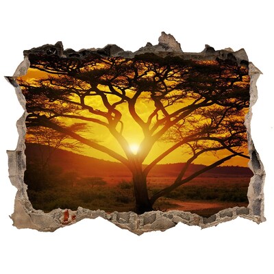 3D wall hole wallpaper Sunset in the African savannah
