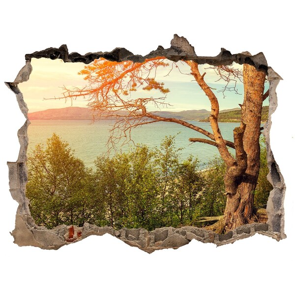 3D wall hole wallpaper View of the lake with a tree