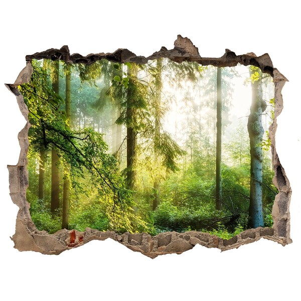 Hole in the wall decal Morning sun forest