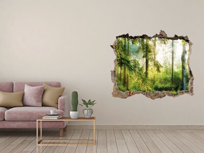 Hole in the wall decal Morning sun forest