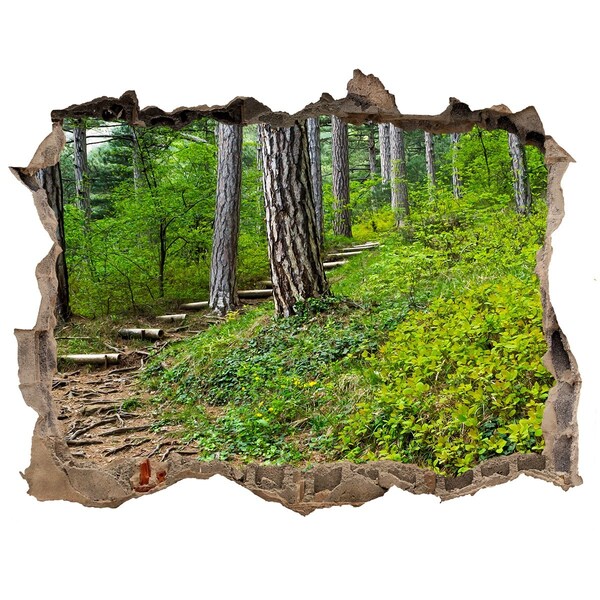 Hole wall sticker Forest track