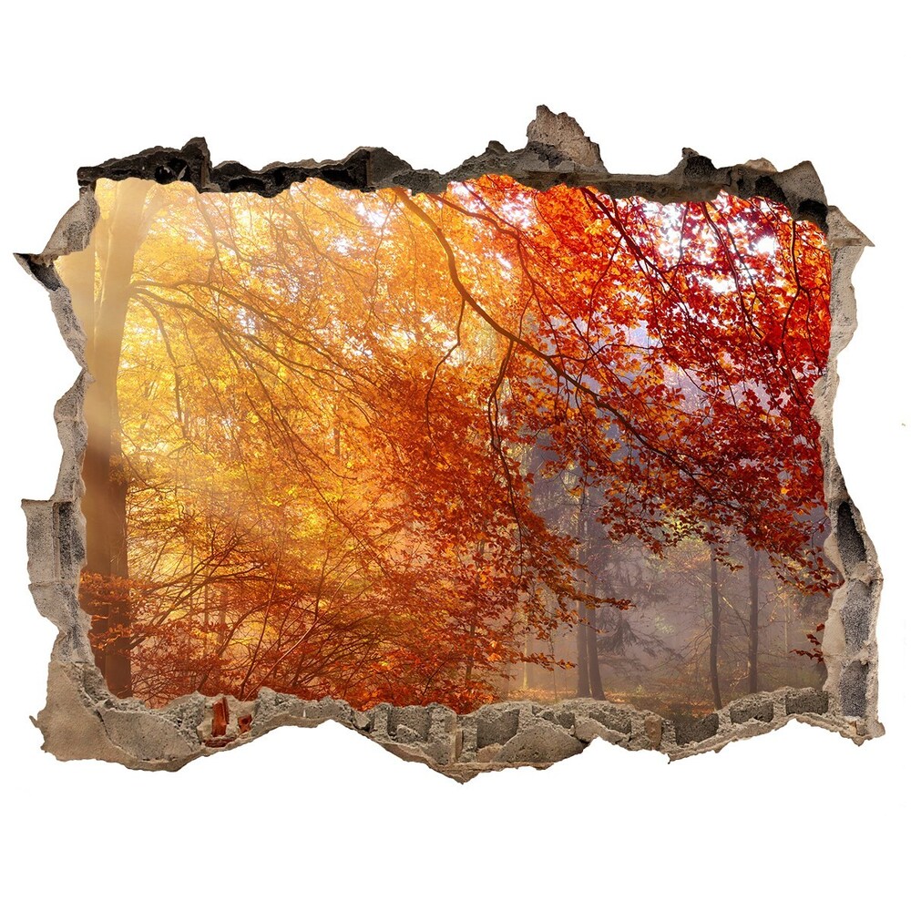 3D wall hole Autumn forest