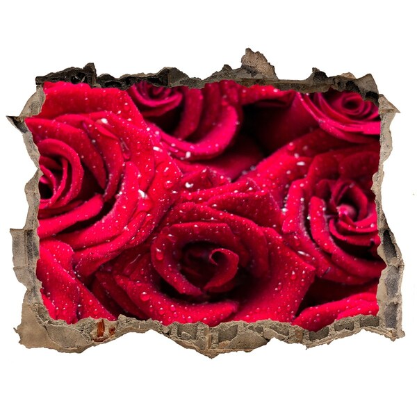 3D wall hole Drops on roses