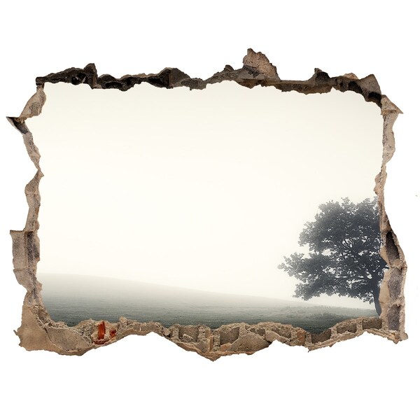 3D wall hole wallpaper A misty clearing with a lonely tree