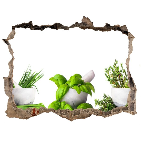 3D wall hole Green garden with herbs