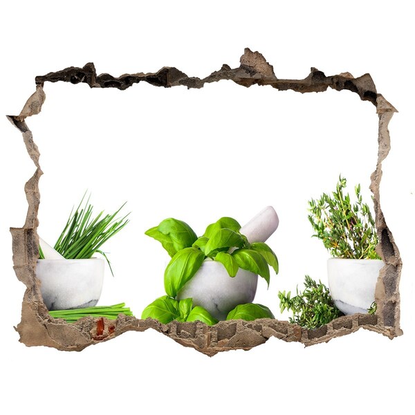 3D wall hole Herbs