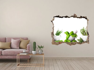 3D wall hole Green garden with herbs