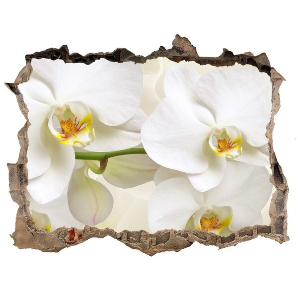 Hole wall sticker Orchids in concrete