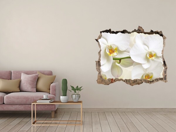 Hole wall sticker Orchids in concrete