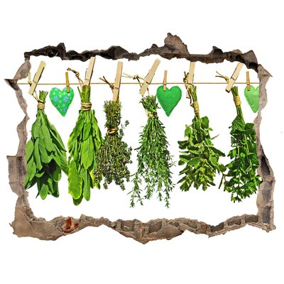 Hole in the wall sticker Herbs on a string