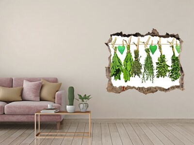 Hole in the wall sticker Herbs on a string