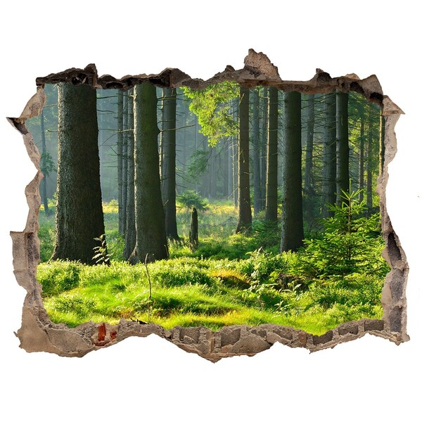 3D wall hole wallpaper Green forest in the sun's rays
