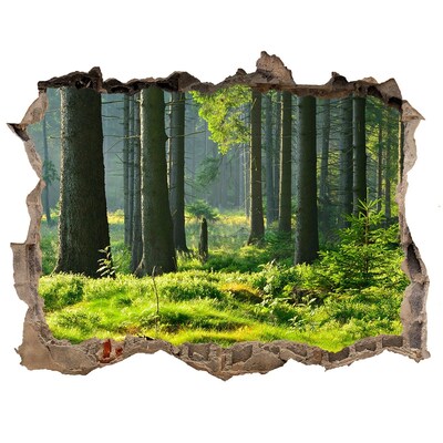 3D wall hole wallpaper Green forest in the sun's rays