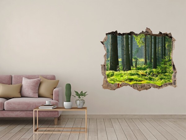 3D wall hole wallpaper Green forest in the sun's rays