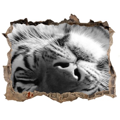 3D wall hole wallpaper Sleepy Tiger