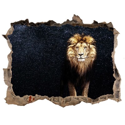 Hole in the wall decal Lion against the backdrop of the stars