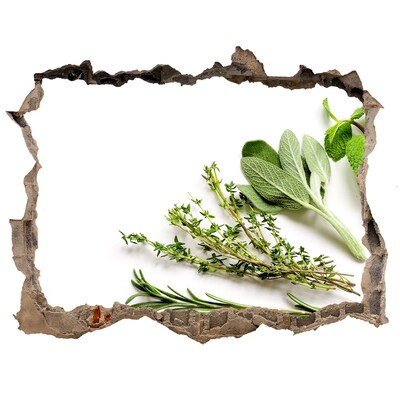 Hole in the wall decal Herb garden in concrete