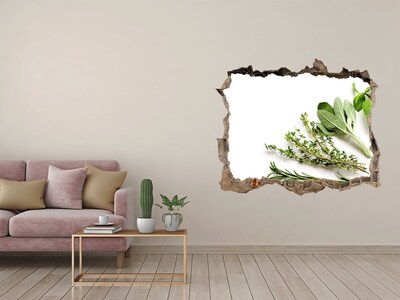 Hole in the wall decal Herb garden in concrete