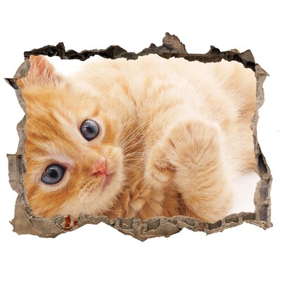 Hole in the wall sticker Cat in a hole in the wall