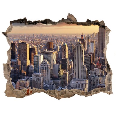 3D wall hole View of New York