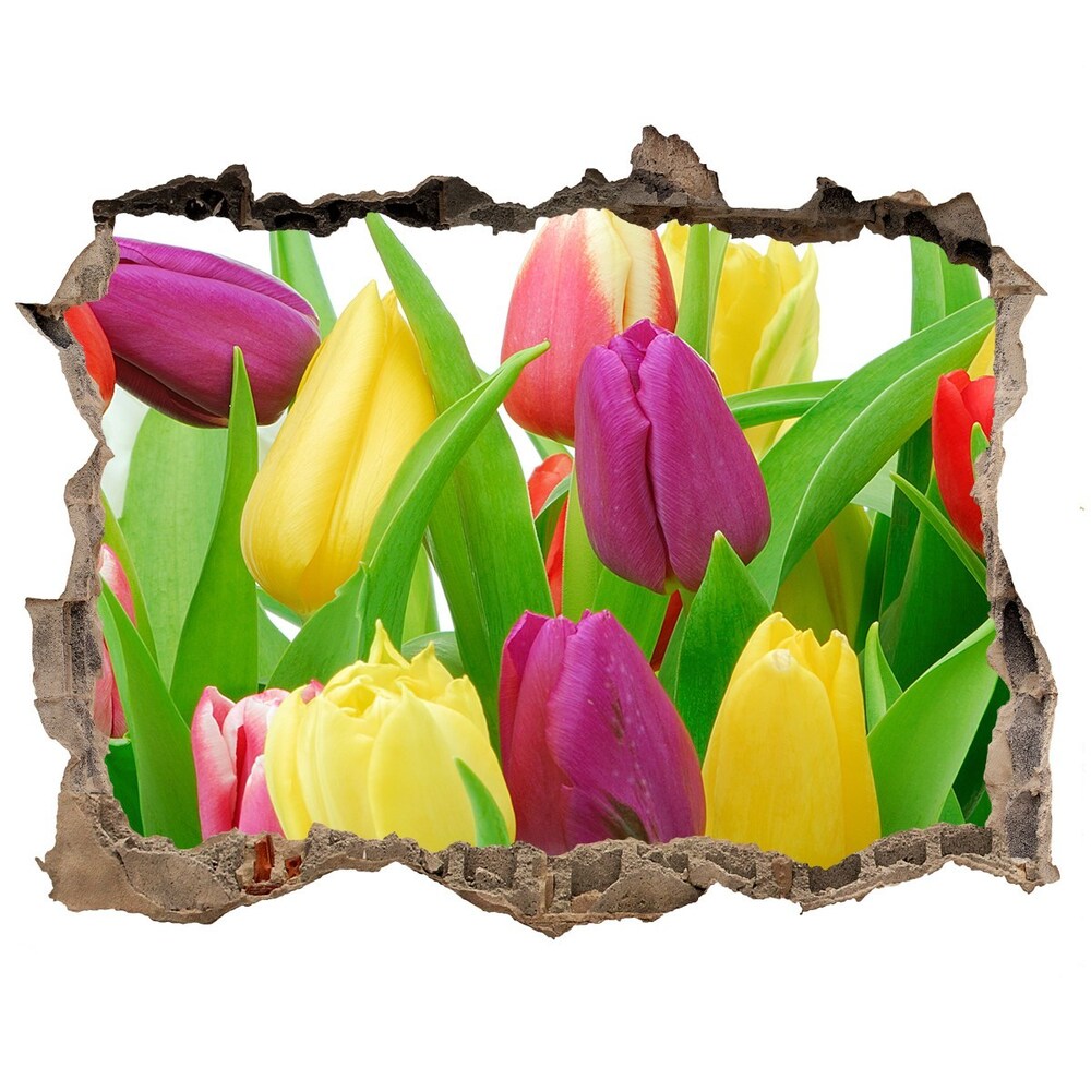 Hole wall sticker Colorful tulips