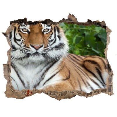 Hole in the wall decal Tiger in its natural habitat