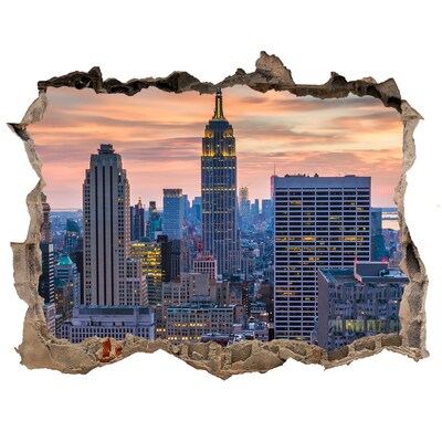 Hole in the wall decal View of New York
