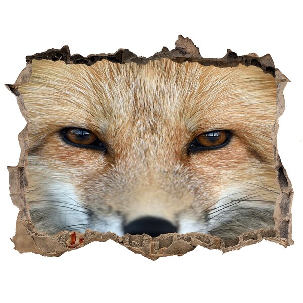 Hole in the wall sticker Fox