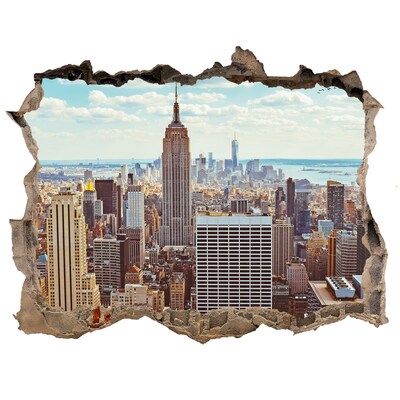 Hole in the wall decal View of New York