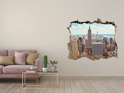 Hole in the wall decal New York Bird Lot