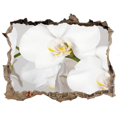 Hole wall sticker Orchid