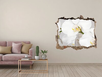 Hole wall sticker Orchid