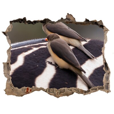 3D wall hole Birds on the back of a zebra