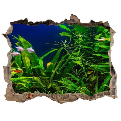 Hole wall sticker The underwater world in the aquarium