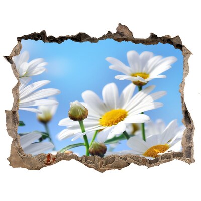 3D wall hole wallpaper Daisy