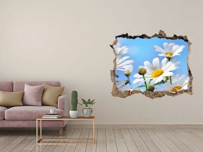 3D wall hole wallpaper Daisy