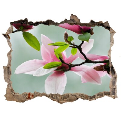 3D wall hole Magnolia