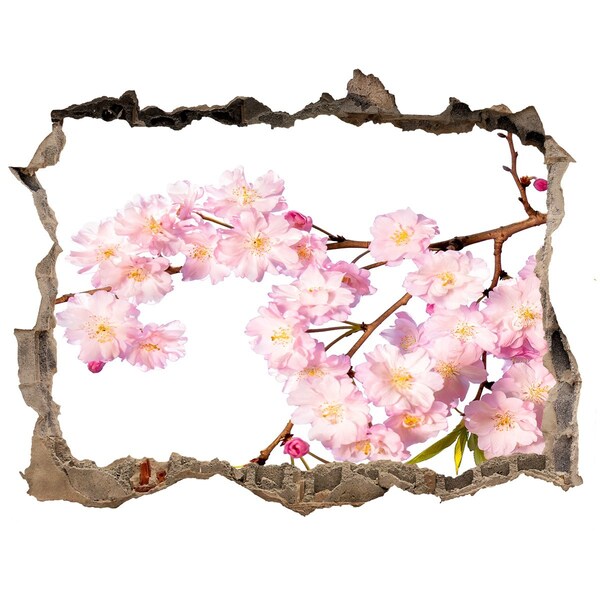 Hole wall sticker Blossom cherry tree in a hole in the wall