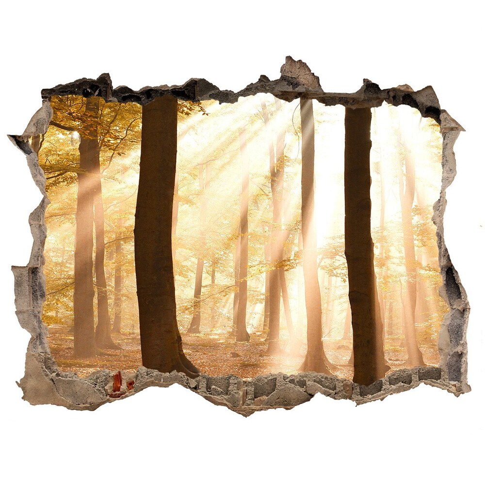 Hole in the wall decal Forest in autumn