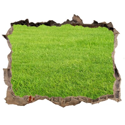 Hole in the wall sticker green grass