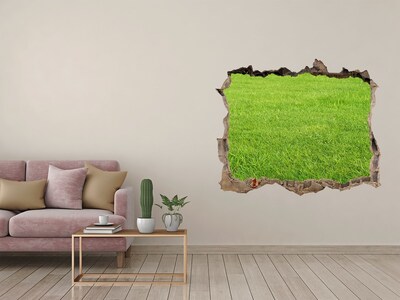 Hole in the wall sticker Green meadow through a hole in the wall