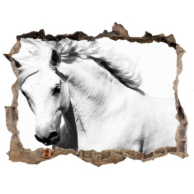 Hole in the wall sticker White horse