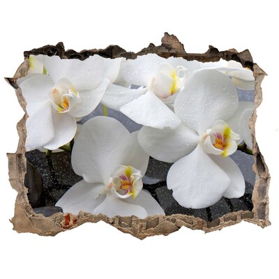 Hole in the wall decal Orchid