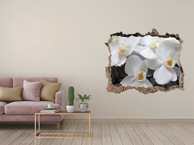 Hole in the wall decal Orchid flowers in water