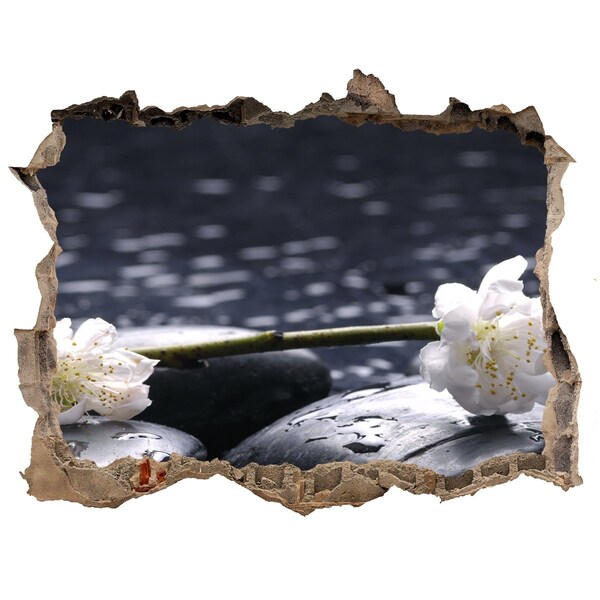 Hole in the wall decal Flowers on stones