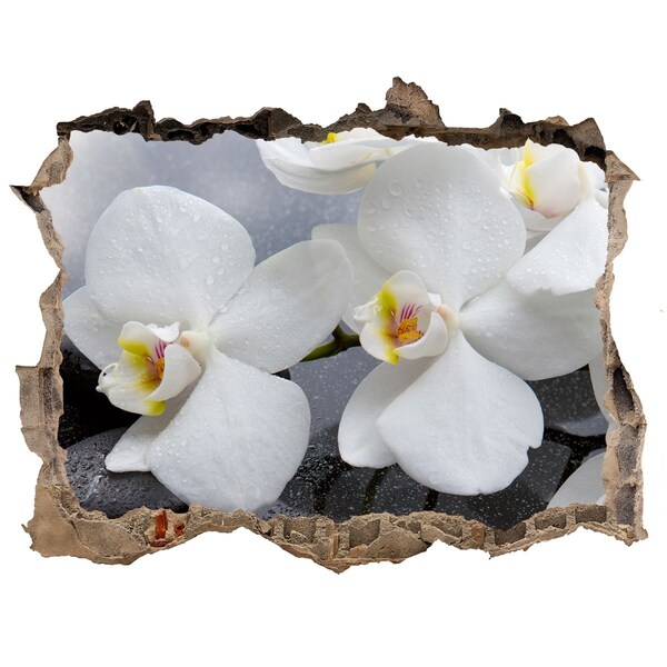 Hole in the wall decal Orchids in concrete