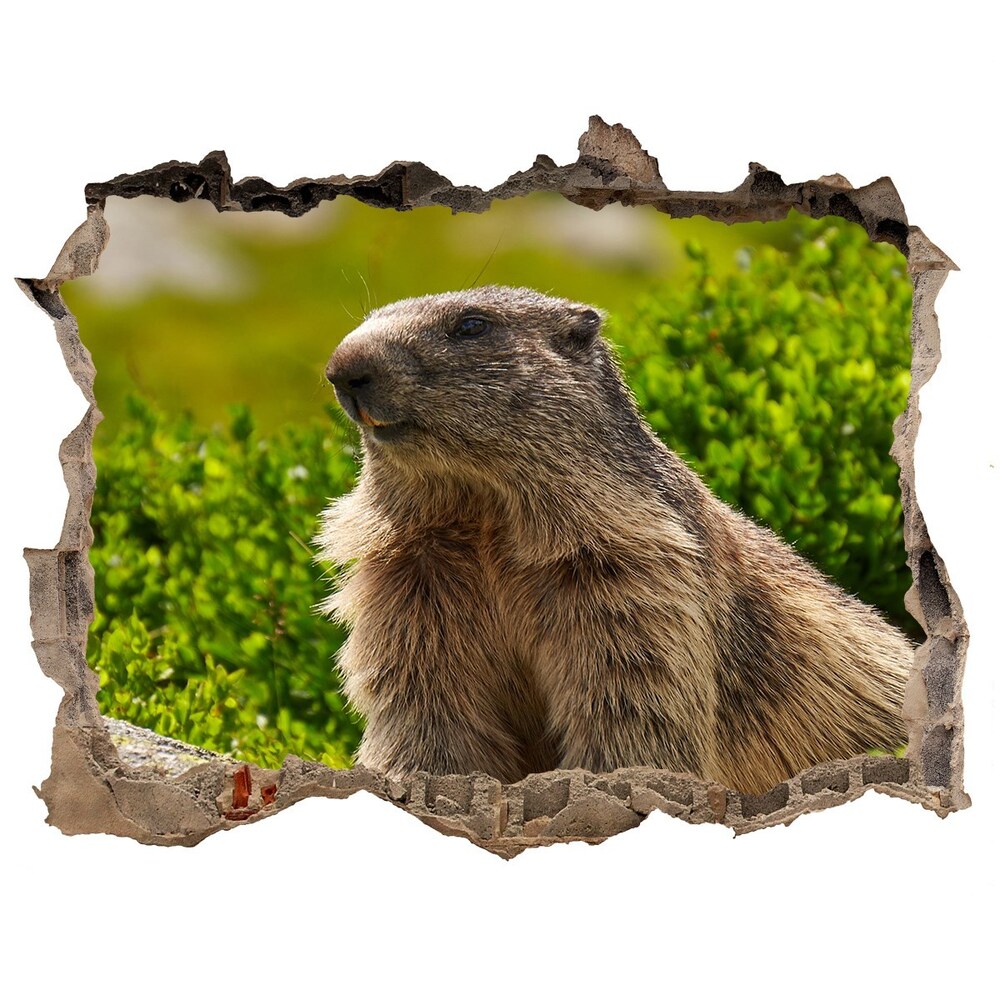 Hole in the wall sticker Tatra marmot