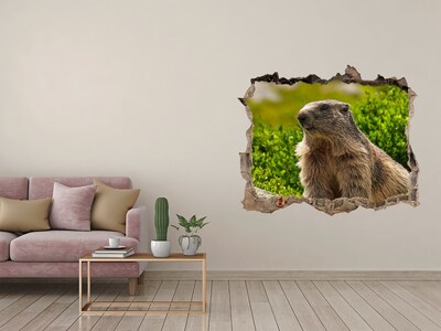 Hole in the wall sticker Tatra marmot